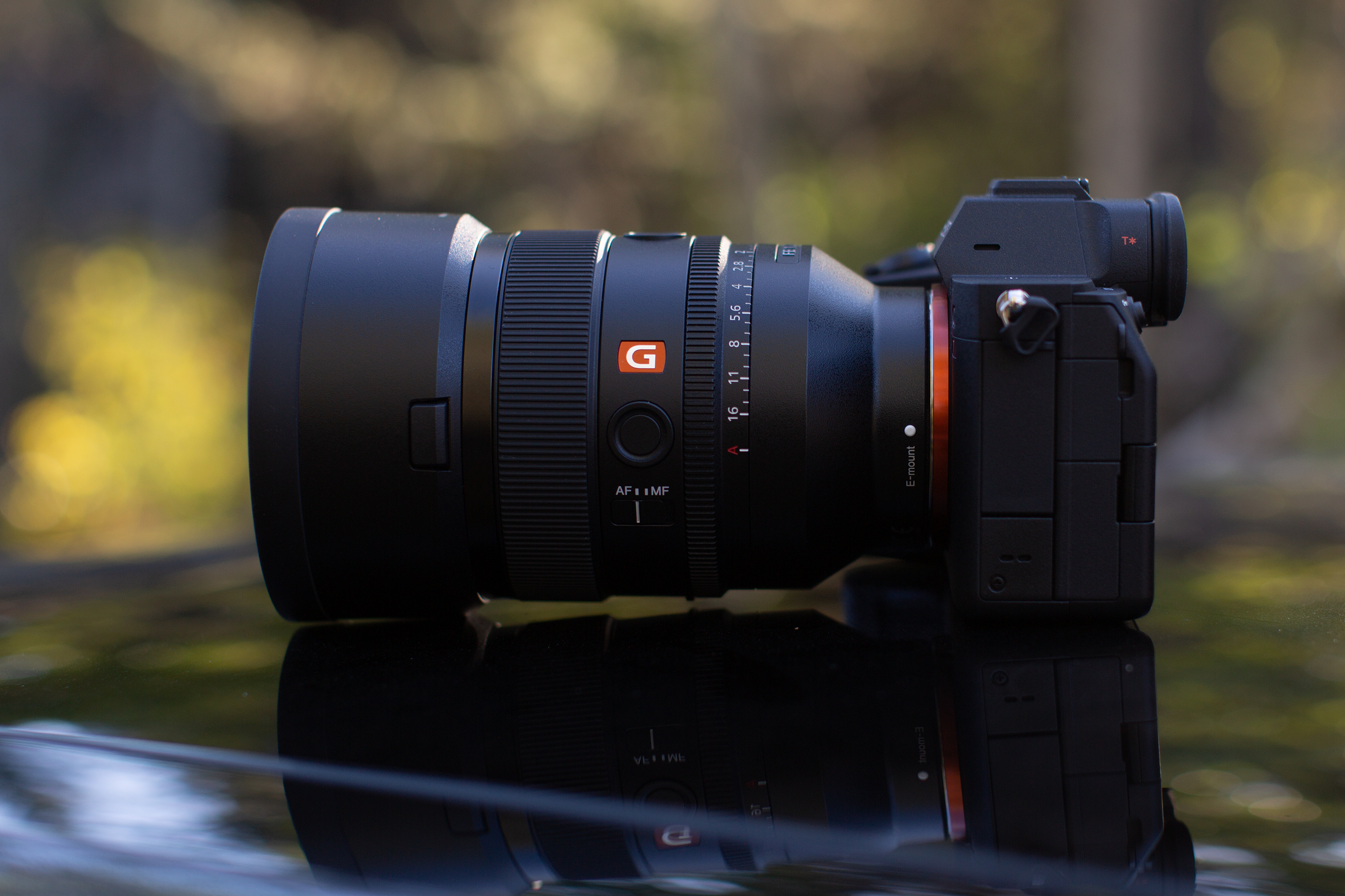 Brittany Smith The Phoblographer Sony A7 IV Camera Image 3421