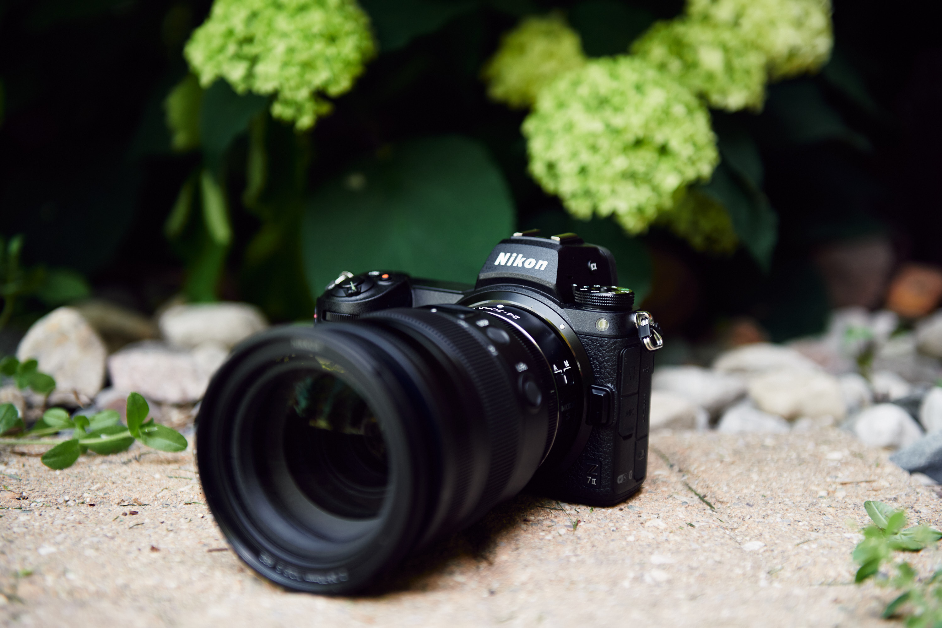 A Nikon camera with a large lens rests on a stone surface, with green leafy plants in the background.