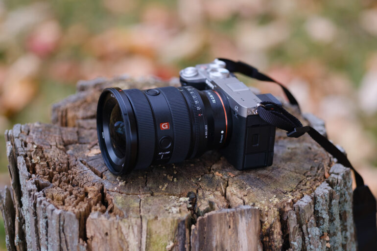 Camera resting on a tree stump with a blurred autumn background.